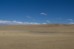 2013.12.12_13_Lhasa_-_Xi_an__19_von_33_