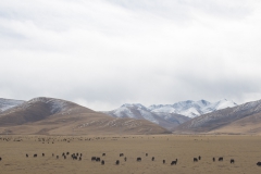 2013.12.12_13_Lhasa_-_Xi_an__2_von_33_