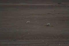 2013.12.12_13_Lhasa_-_Xi_an__33_von_33_