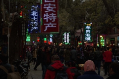 2013.12.14_15_Xi_an_02__11_von_19_