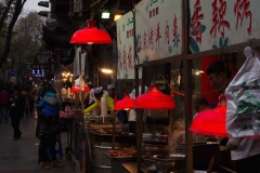 2013.12.14_15_Xi_an_02__12_von_19_