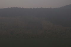 2013.12.16_Longmen__15_von_20_