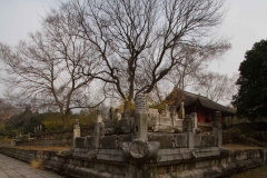 2013.12.19_Nanjin__8_von_25_