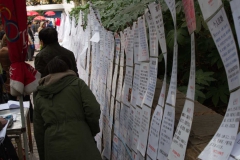 2013.12.21_Shanghai__5_von_35_
