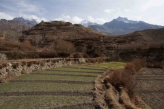 2014.01.14_Kagbheni_-_Muktinath__32_von_74_