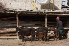 2014.01.14_Kagbheni_-_Muktinath__37_von_74_