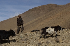 2014.01.14_Kagbheni_-_Muktinath__9_von_74_