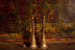 2014.01.15_Muktinath_-_Jomson__12_von_48_