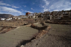 2014.01.15_Muktinath_-_Jomson__17_von_48_