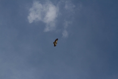 2014.01.15_Muktinath_-_Jomson__33_von_48_