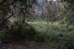 2014.01.20_Chitwan_National_Park__2___80_von_93_