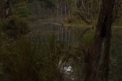 2014.01.20_Chitwan_National_Park__2___83_von_93_