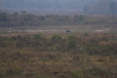 2014.01.20_Chitwan_National_Park__2___84_von_93_