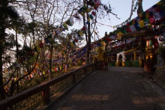 2014.01.25_26_Darjeeling-1___11