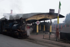 2014.01.25_26_Darjeeling-2____41