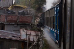 2014.01.25_26_Darjeeling-2____45