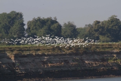 2014.02.03_Mandalay_-_Bagan_Bootstour__20_von_96_