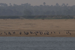 2014.02.03_Mandalay_-_Bagan_Bootstour__26_von_96_