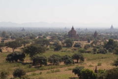 2014.02.04_Bagan_Pagoden___Tempel__24_von_90_