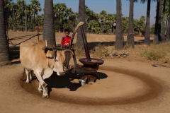 2014.02.06_Bagan_-_Inle_Lake__1_von_58_