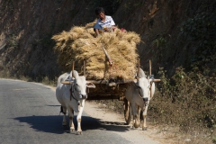 2014.02.06_Bagan_-_Inle_Lake__27_von_58_