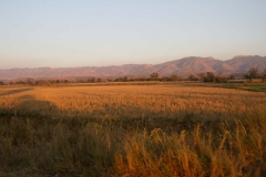 2014.02.06_Bagan_-_Inle_Lake__57_von_58_