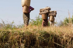 2014.02.07_Inle_Lake_Seetour_099