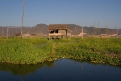 2014.02.07_Inle_Lake_Seetour_181