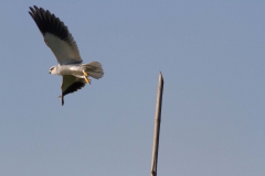 2014.02.07_Inle_Lake_Seetour_183