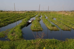 2014.02.08_Inle_Lake_Fahrradtour__20_von_23_