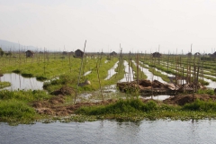 2014.02.08_Inle_Lake_Fahrradtour__21_von_23_