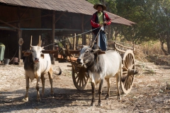 2014.02.08_Inle_Lake_Fahrradtour__8_von_23_