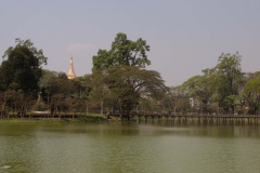 2014.02.13_Yangon_-_Shwedagon_01