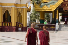 2014.02.13_Yangon_-_Shwedagon_64