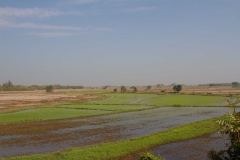 2014.02.15_Yangon_-_Bago_04