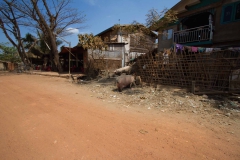 2014.02.15_Yangon_-_Bago_27