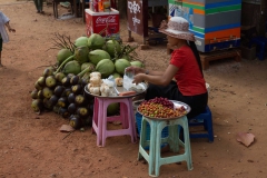 2014.02.15_Yangon_-_Bago_32