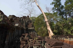 2014.02.20-21_Siem_Reap_Angkor_Wat21___57_von_79_