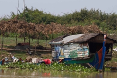 2014.02.22_Siem_Reap-Battambang___58_von_81_