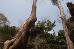 2014.03.07-09_Siem_Reap_Angkor_Wat09___53_von_71_