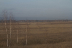 2013.11.19_TransSib_Moskau_-_Irkutsk__17_von_43_