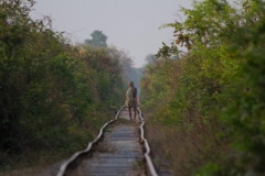 2014.03.14-16_Battambang14__23