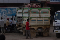 2014.04.05_Pursat_Phnom_Penh__78_von_92_