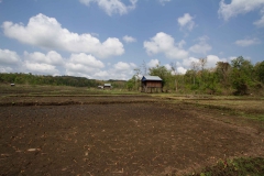 2014.04.15-17_Mondulkiri_Jungle_03