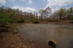 2014.04.15-17_Mondulkiri_Jungle_05