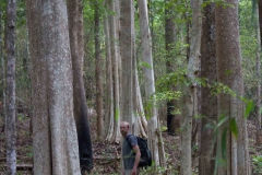 2014.04.15-17_Mondulkiri_Jungle_20