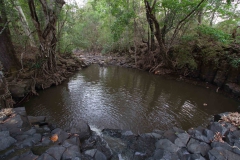 2014.04.15-17_Mondulkiri_Jungle_28