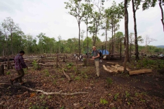 2014.04.15-17_Mondulkiri_Jungle_29