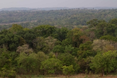 2014.04.15-17_Mondulkiri_Jungle_68