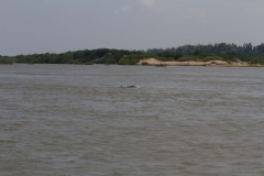 2014.04.18_19_Kratie_dolphins__11_von_39_